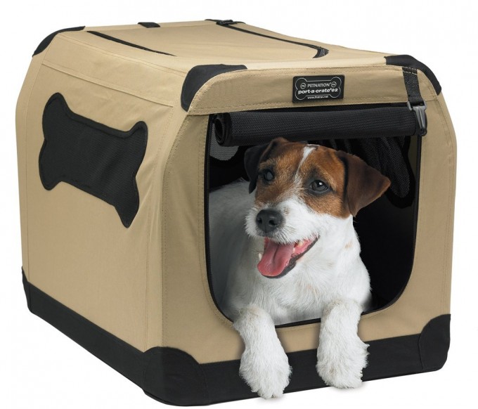 Give Them Some Pet Carrier Training